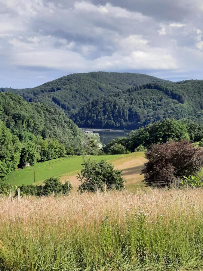 Holiday Home Neokrnjena Narava Sevnica Exteriör bild